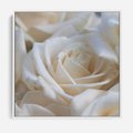 Obraz w ramie 50x50 - Białe róże piękności - białe, róże - rama biała