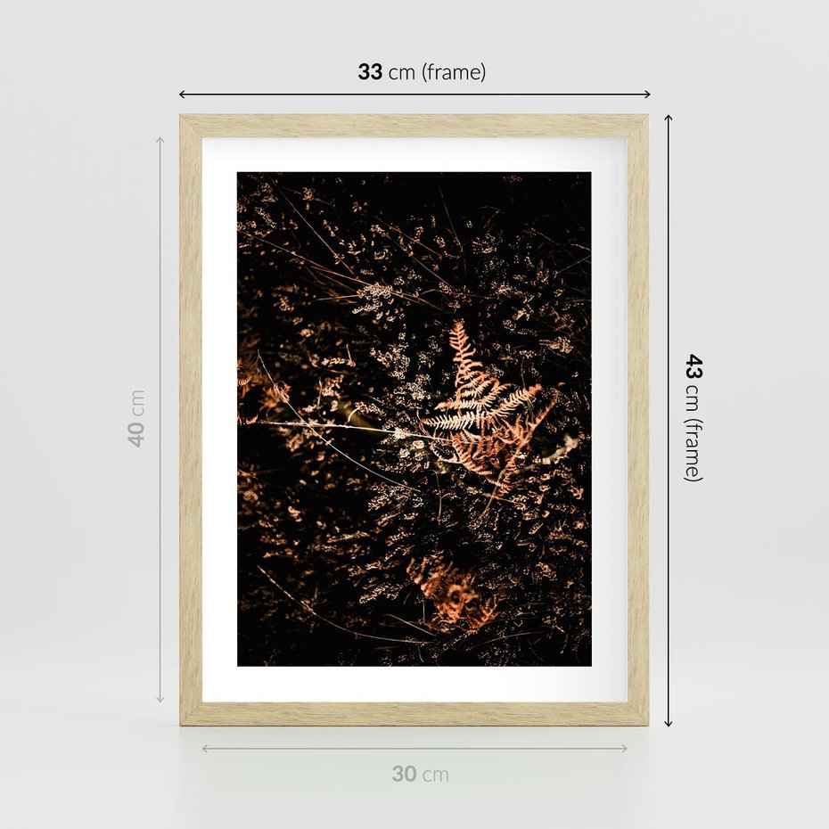 Plakat w ramie 30x40 - Jesienna Melodia - suche trawy, paprocie - rama drewno
