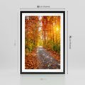 Plakat w ramie 50x70 - Kolorowe drzewa na ścieżce jesieni - las, jesień - rama czarna