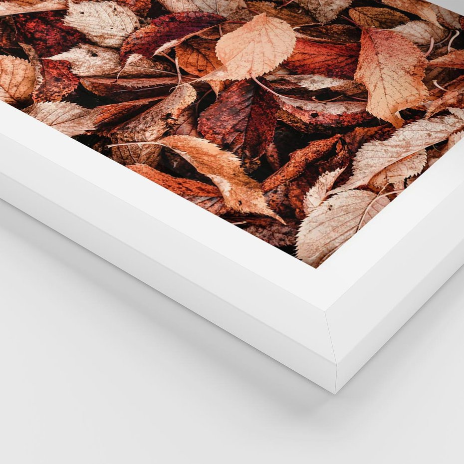 Plakat w ramie 40x50 - Magia Jesiennej Ziemi - liście, jesień - rama biała