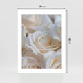 Plakat bez ramy 30x40 - Białe róże piękności - białe, róże