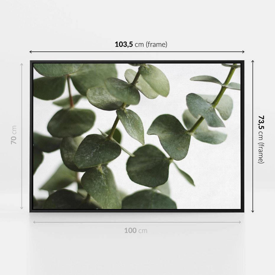 Obraz w ramie 100x70 - Zielone eukaliptusy - eukaliptus, liście - rama czarna