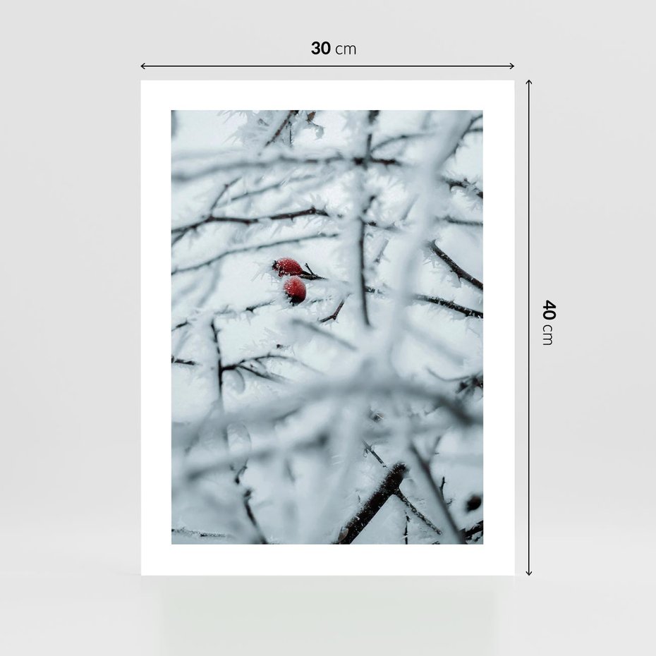 Plakat bez ramy 30x40 - Zima w Detalu: Gałęzie ze Szronem i Śniegiem - śnieg, zima