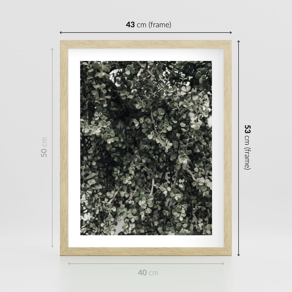 Plakat w ramie 40x50 - Jasnozielone Liście i Gałązki - liście, gałązki - rama drewno