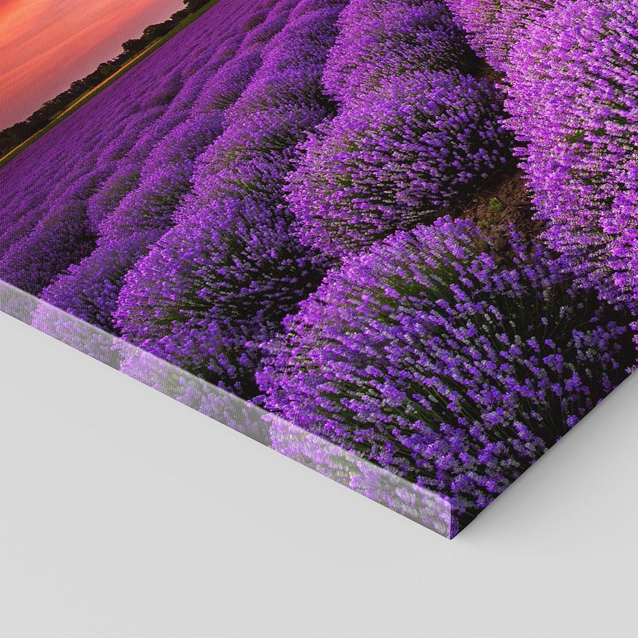 Obraz na płótnie 120x80 - Lawenda: polne zauroczenie - lawenda, kwiaty