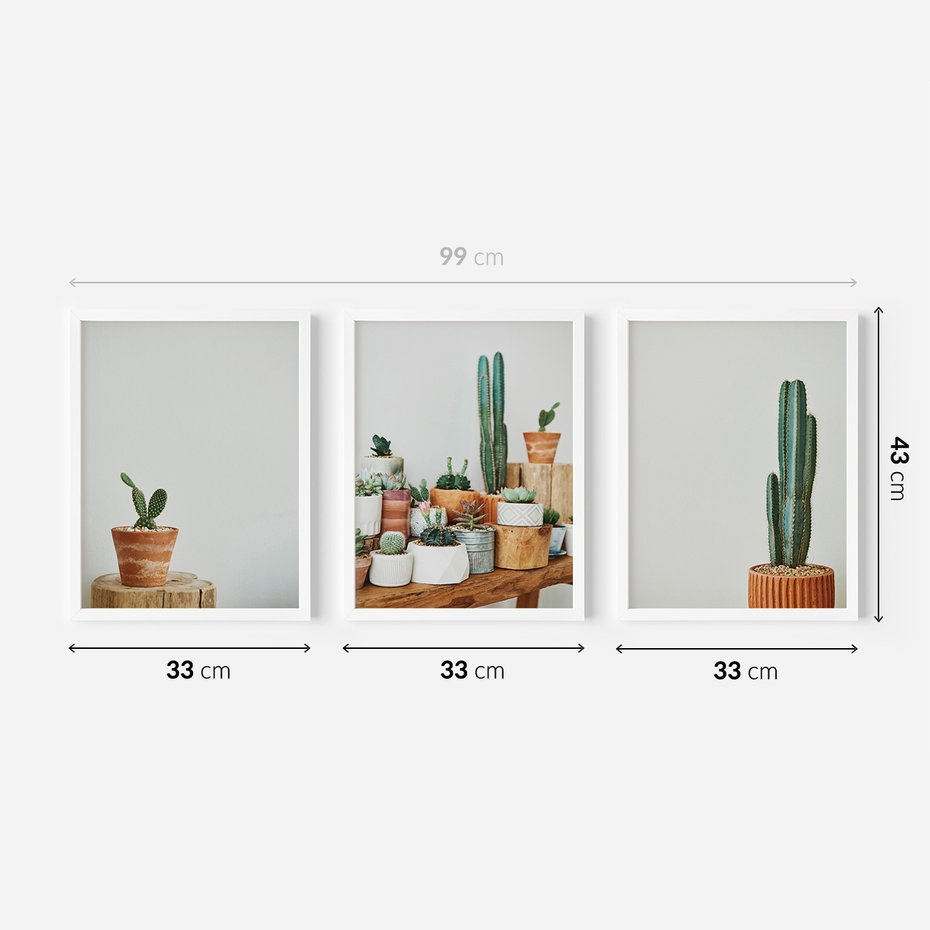 Zestaw obrazy w ramie 30x40 galeria - Kaktusy, w, doniczkach, boho - rama biała