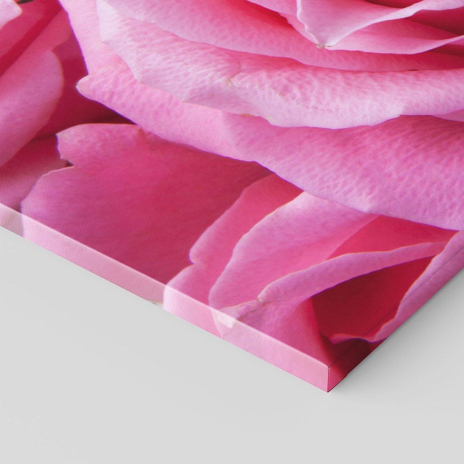 Obraz na płótnie 120x80 - Róża Wspaniałości - róża, kwiat