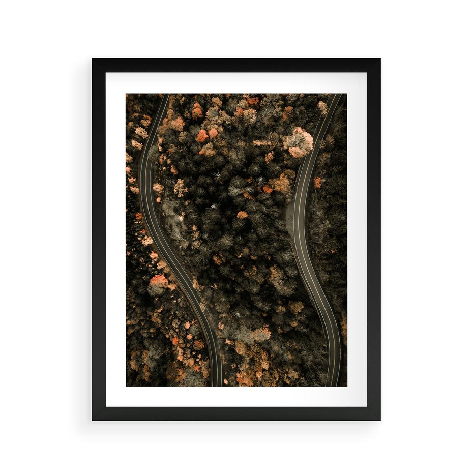 Plakat w ramie 40x50 - Las i Droga w Kolorach Jesieni - droga, ujęcie z góry - rama czarna