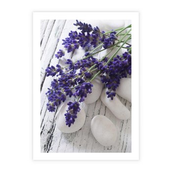 Plakat bez ramy 21x30 - relaks z aromatem - lawenda, spa