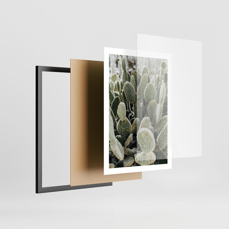 Plakat w ramie 50x70 - Kaktusowa Harmonia - kaktusy, fotografia - rama czarna
