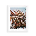 Plakat w ramie 30x40 - Tropikalna Harmonia - palma, liście palmy - rama biała
