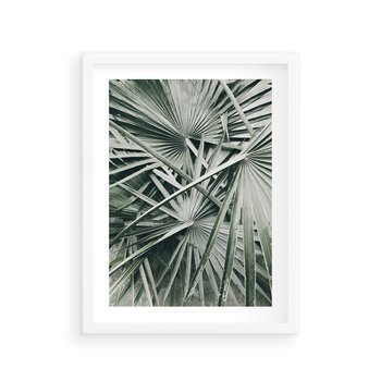 Plakat w ramie 30x40 - Palmy w Zgaszonej Zieleni - palmy, tropikalne liście - rama biała