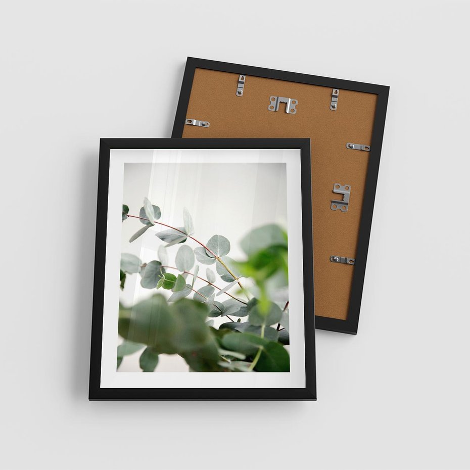 Plakat w ramie 40x50 - Zielony Świat Eukaliptusa - eukaliptus, fotografia - rama czarna