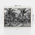 Obraz w ramie 100x70 - Mroczna Ścieżka Tropików - czarno biała fotografia, ścieżka pośród palm - rama drewno