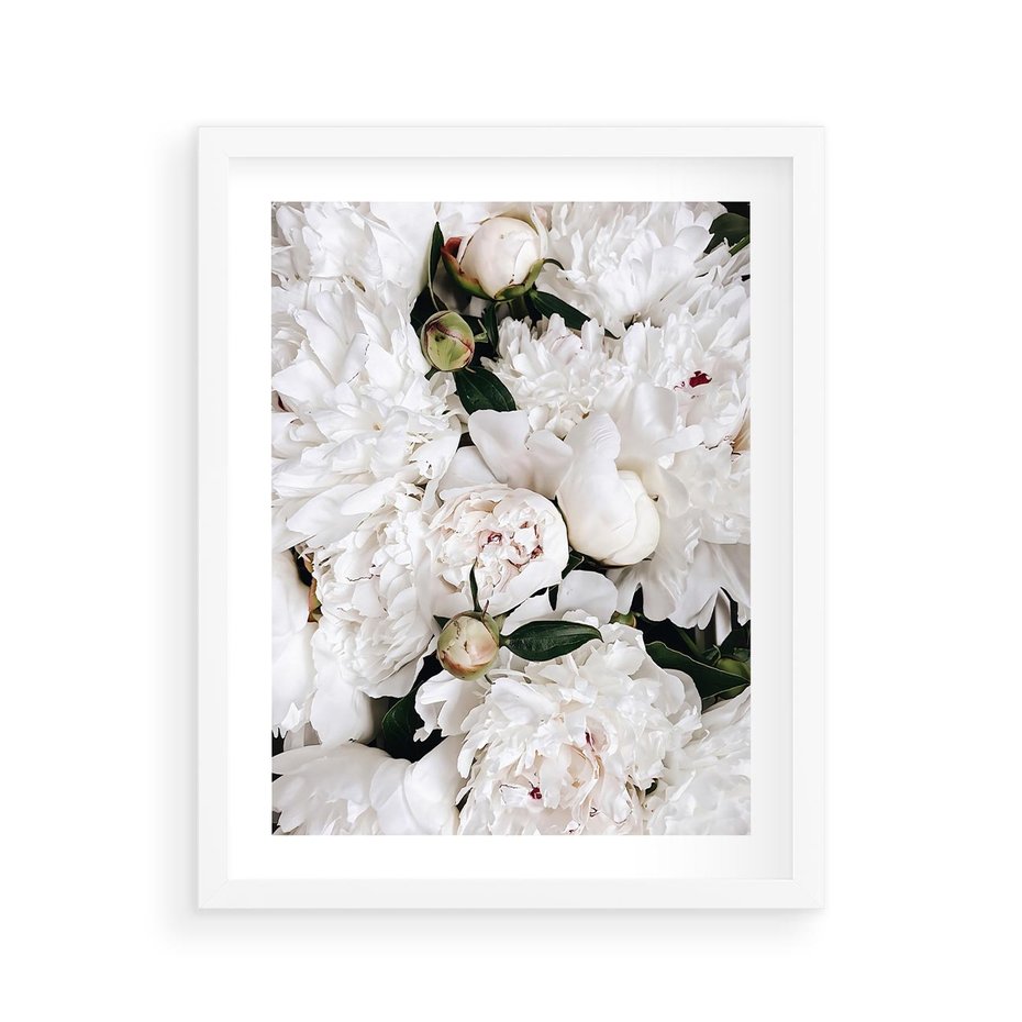 Plakat w ramie 40x50 - Modne Białe Kwiaty - białe kwiaty, płatki - rama biała
