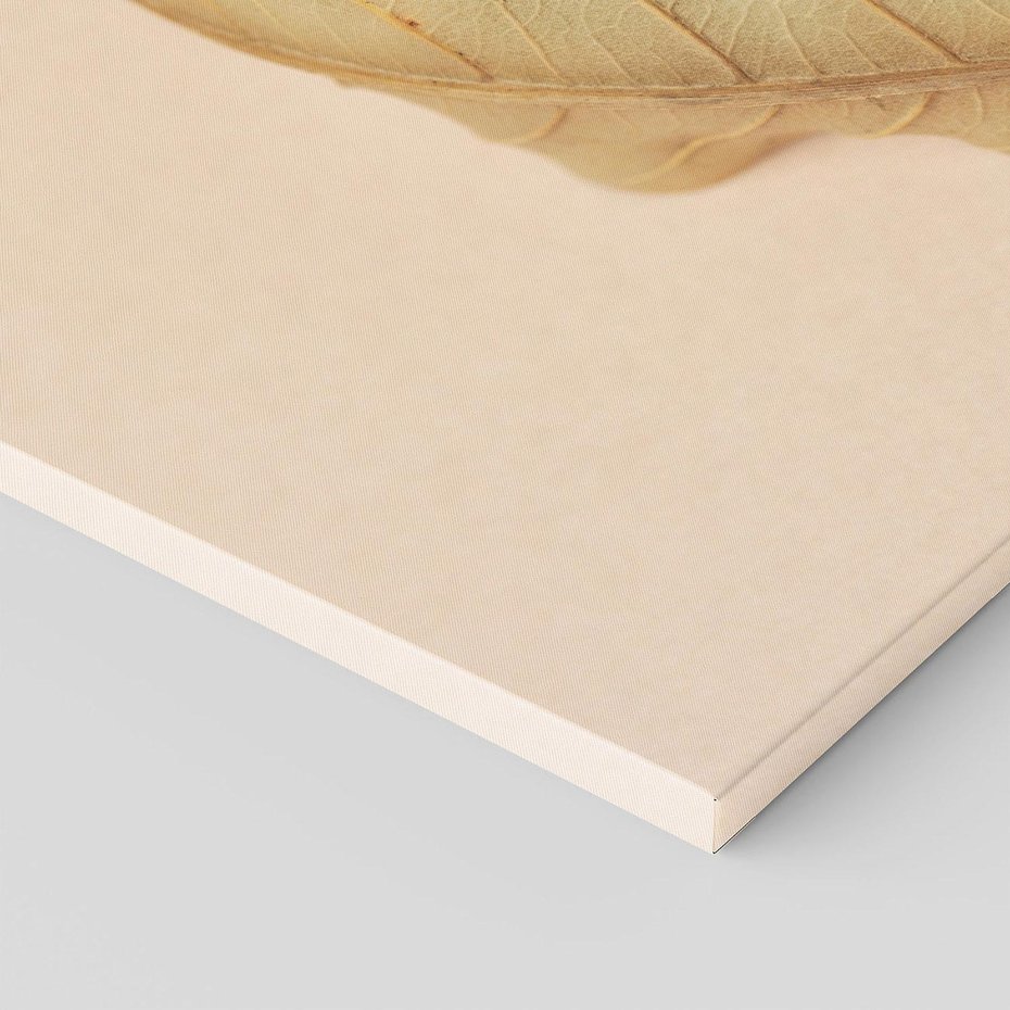 Obraz na płótnie 70x100 - Boho suszone liście - suszony, liść