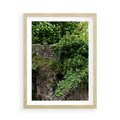 Plakat w ramie 50x70 - Żywiołowa Zieleń - mur, liście - rama drewno