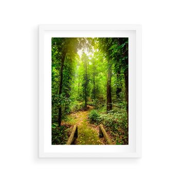 Plakat w ramie 30x40 - Współistnienie z naturą - drzewa, las - rama biała