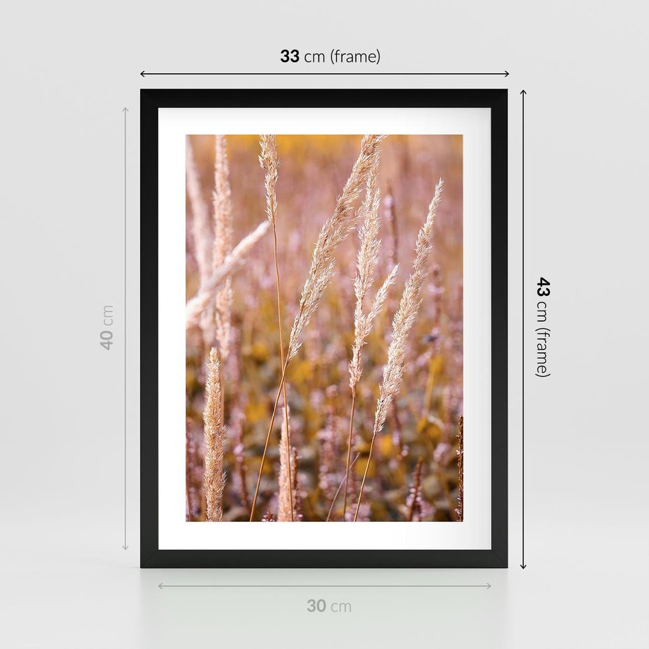 Plakat w ramie 30x40 - Sucha Trawa w Sierpniu - trawy, łąka - rama czarna