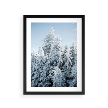 Plakat w ramie 50x70 - Magia Śnieżnych Drzew - zima, iglaste drzewa - rama czarna