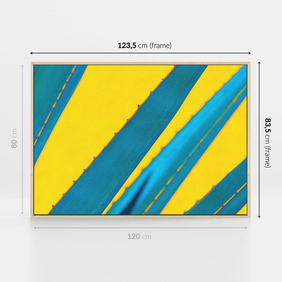 Obraz w ramie 120x80 - Świeżość Natury - aloes, liście - rama drewno