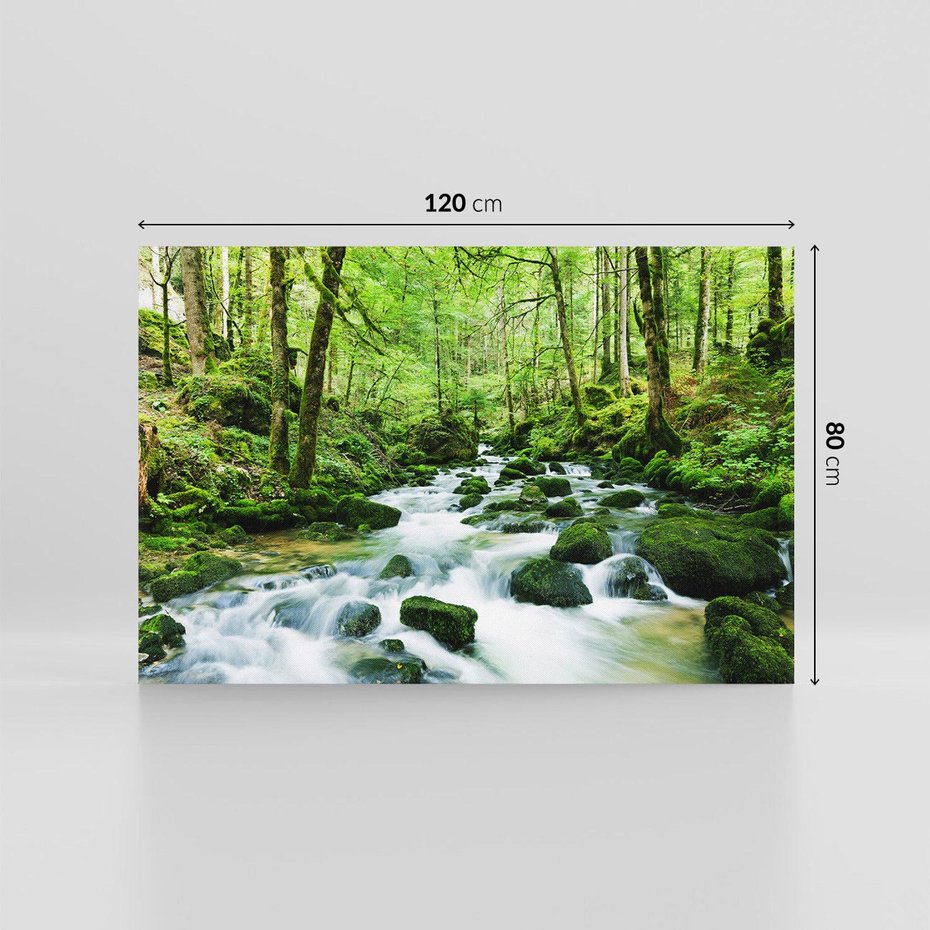 Obraz na płótnie 120x80 - Spokój Wodospadu: Las i Drzewa - wodospad, las