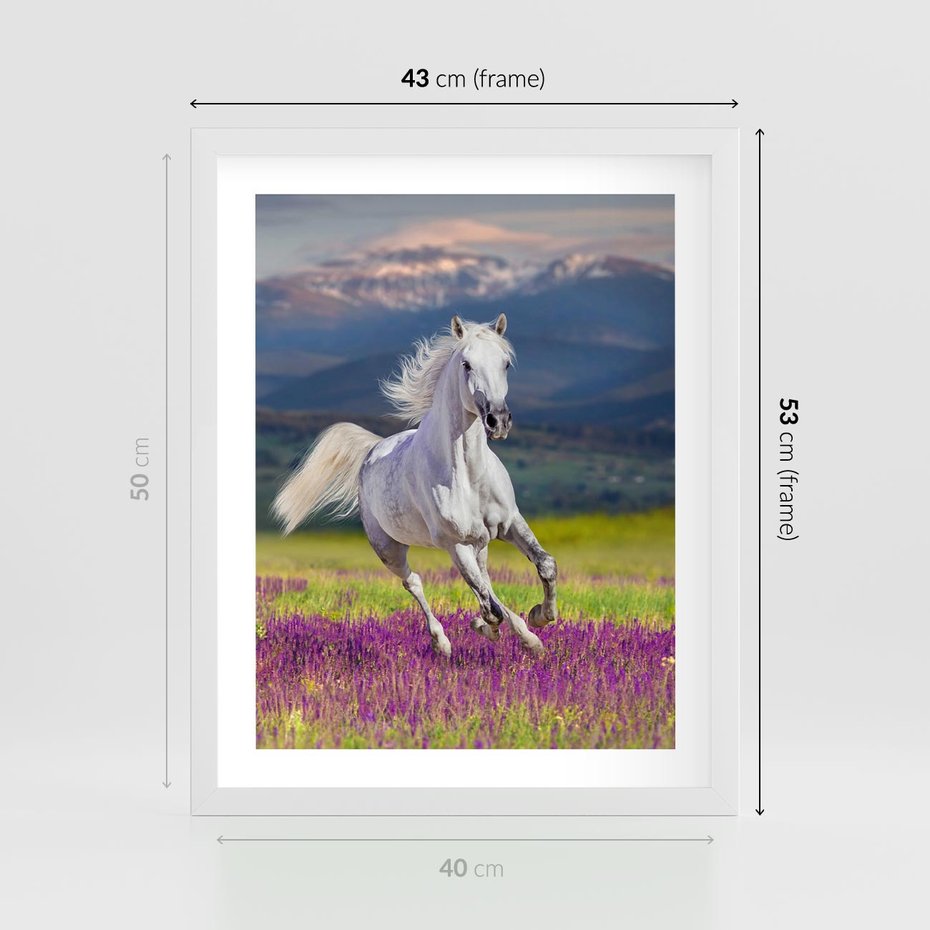 Plakat w ramie 40x50 - Koń Góry: Spotkanie z Wielką Przyrodą - koń, góry - rama biała