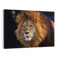 Obraz na płótnie 70x50 - Lew - Król Zwierząt - lew, zwierzęta