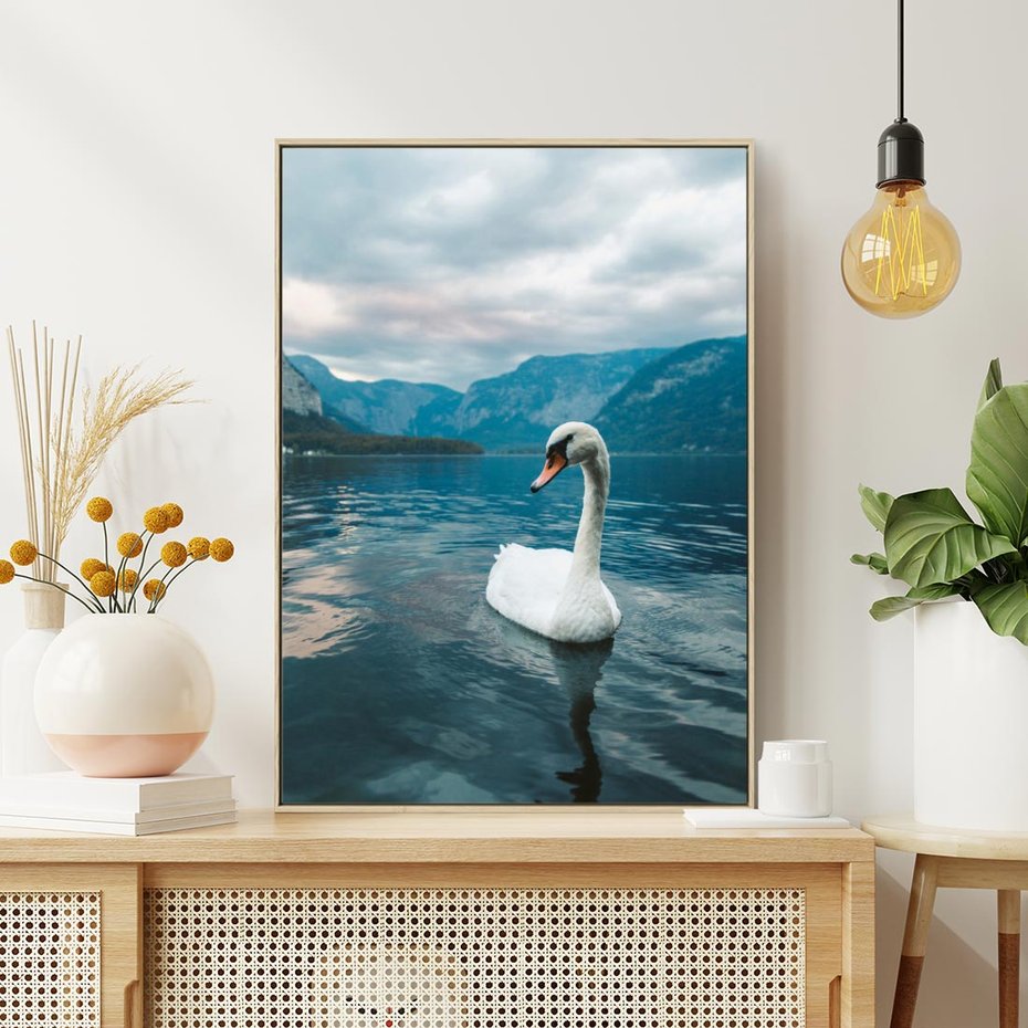 Obraz w ramie 80x120 - Łabędzi Śpiew - fotografia, plakat - rama drewno