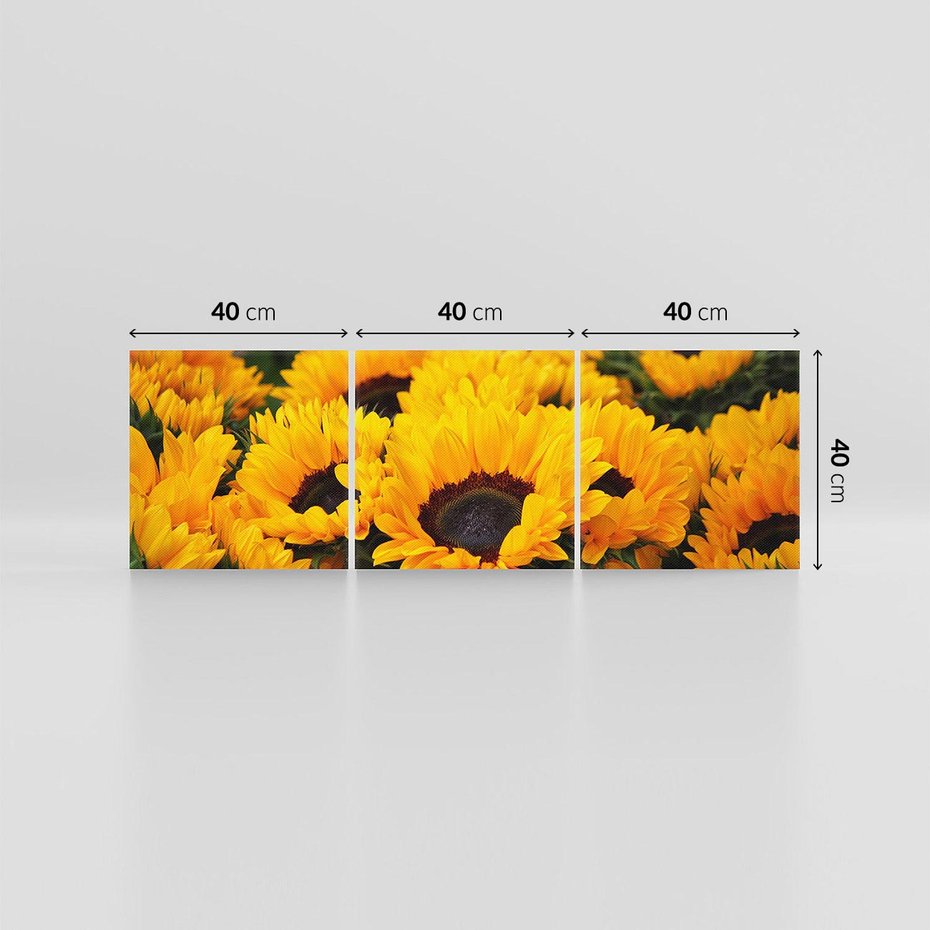 Obraz na płótnie 120x40 - promień słoneczny w kwiatowym świecie - słoneczniki, kwiat