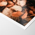 Plakat bez ramy 50x70 - Jesienna Paleta - liście, jesień