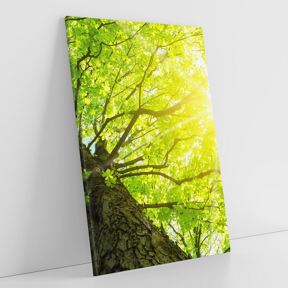 Obraz na płótnie 80x120 - Drzewo pod Słońcem: Łączność z Naturą - drzewo, słońce