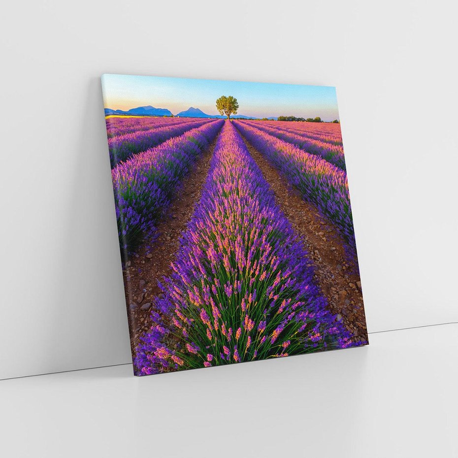 Obraz na płótnie 30x30 - Fioletowa Magia - pole, lawendy