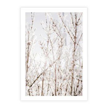 Plakat bez ramy 30x40 - Szron na Gałęziach - ośnieżone gałązki, szron na gałęziach