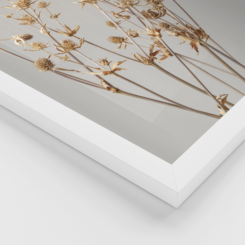 Zestaw obrazy w ramie 50x70 galeria - Suche, kwiaty, pampas, trawy, boho - rama biała