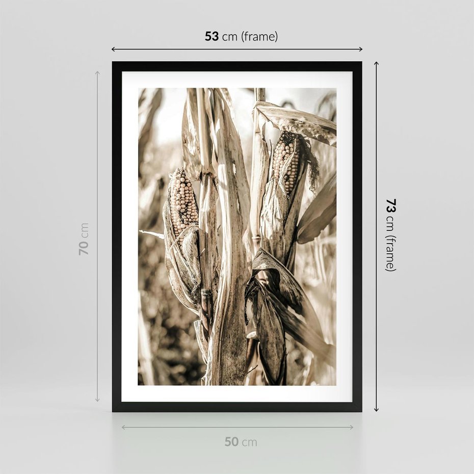Plakat w ramie 50x70 - Retro Pole Kukurydzy - retro zdjęcie, sepia - rama czarna