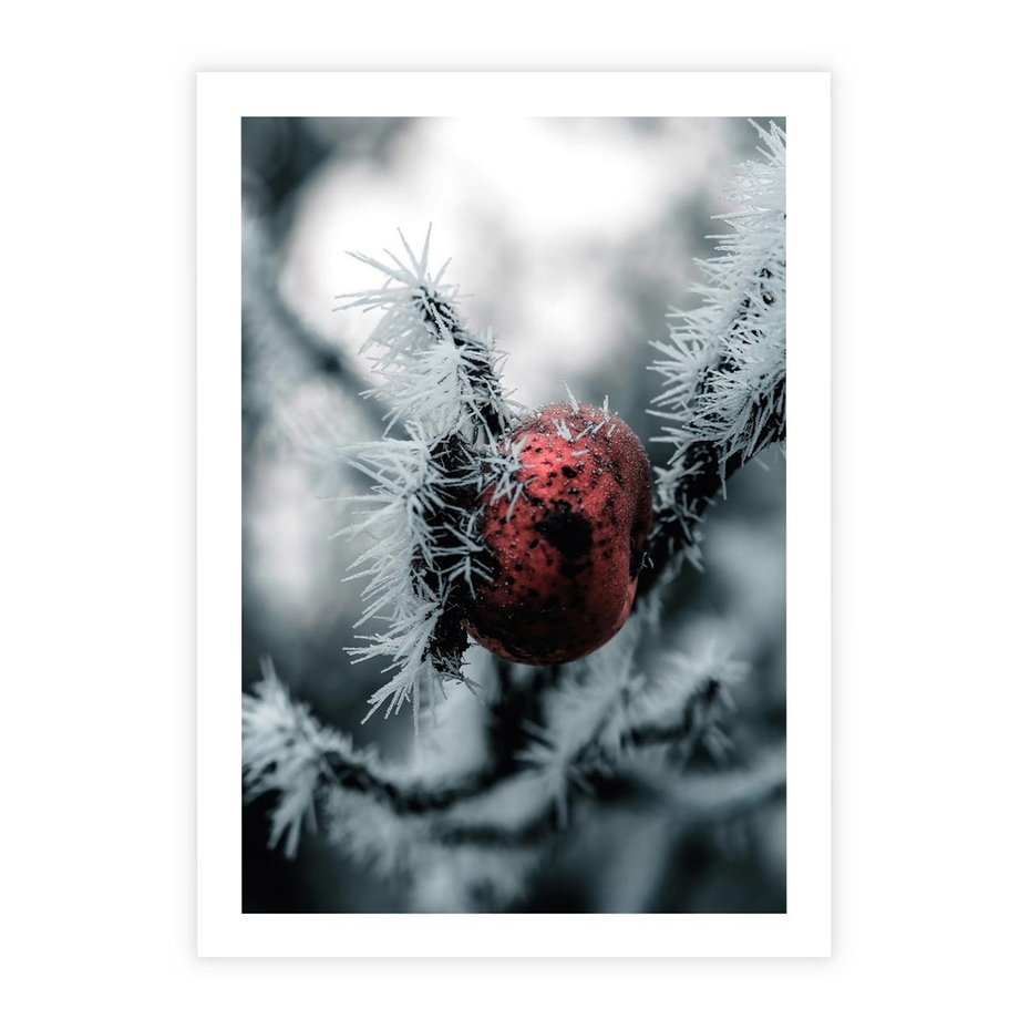 Plakat bez ramy 21x30 - Chwila Zimowego Uroku - zima, ośnieżona gałązka