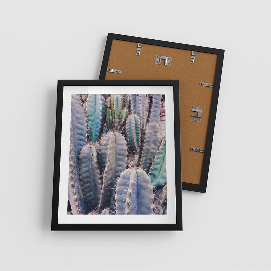 Plakat w ramie 40x50 - Kaktusowy Raj - kaktusy, dużo kaktusów - rama czarna