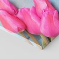Obraz na płótnie 100x50 - Piękno w pełnym rozkwicie - kwiaty, tulipany