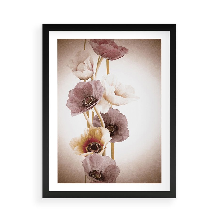 Plakat w ramie 50x70 - Eksplozja kolorów - akwarela, maki - rama czarna