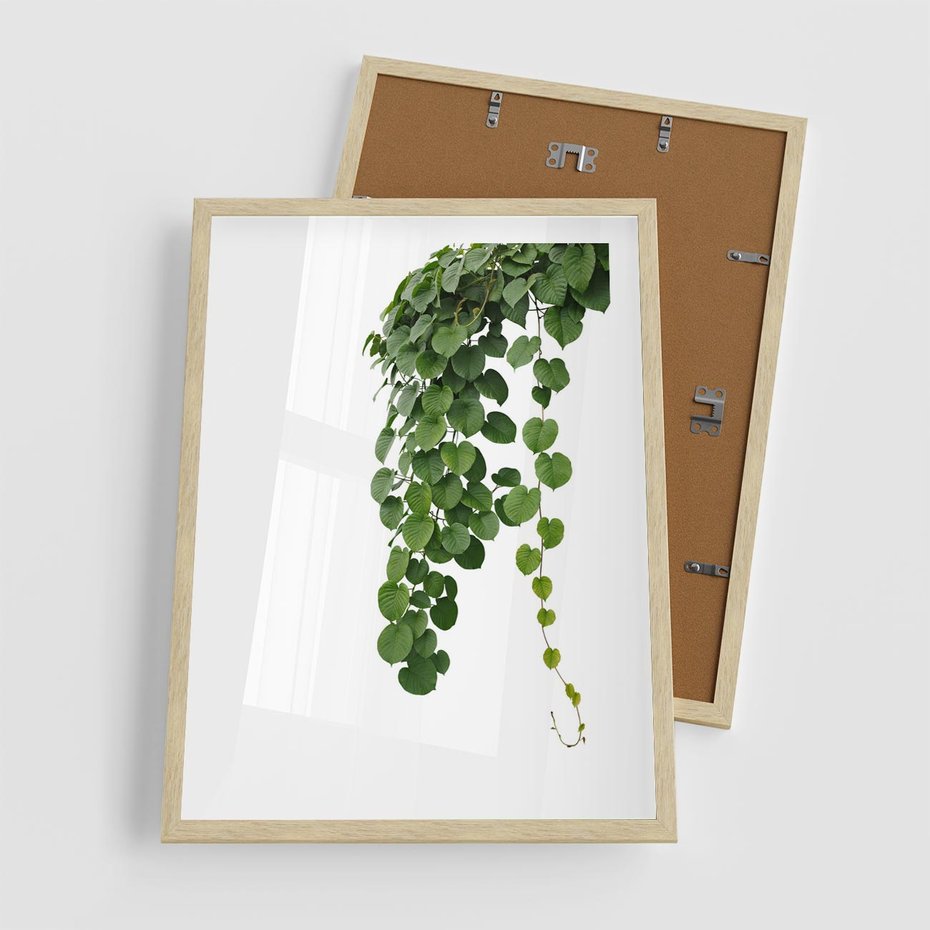 Plakat w ramie 50x70 - Świeżość Natury - liście, zielone - rama drewno