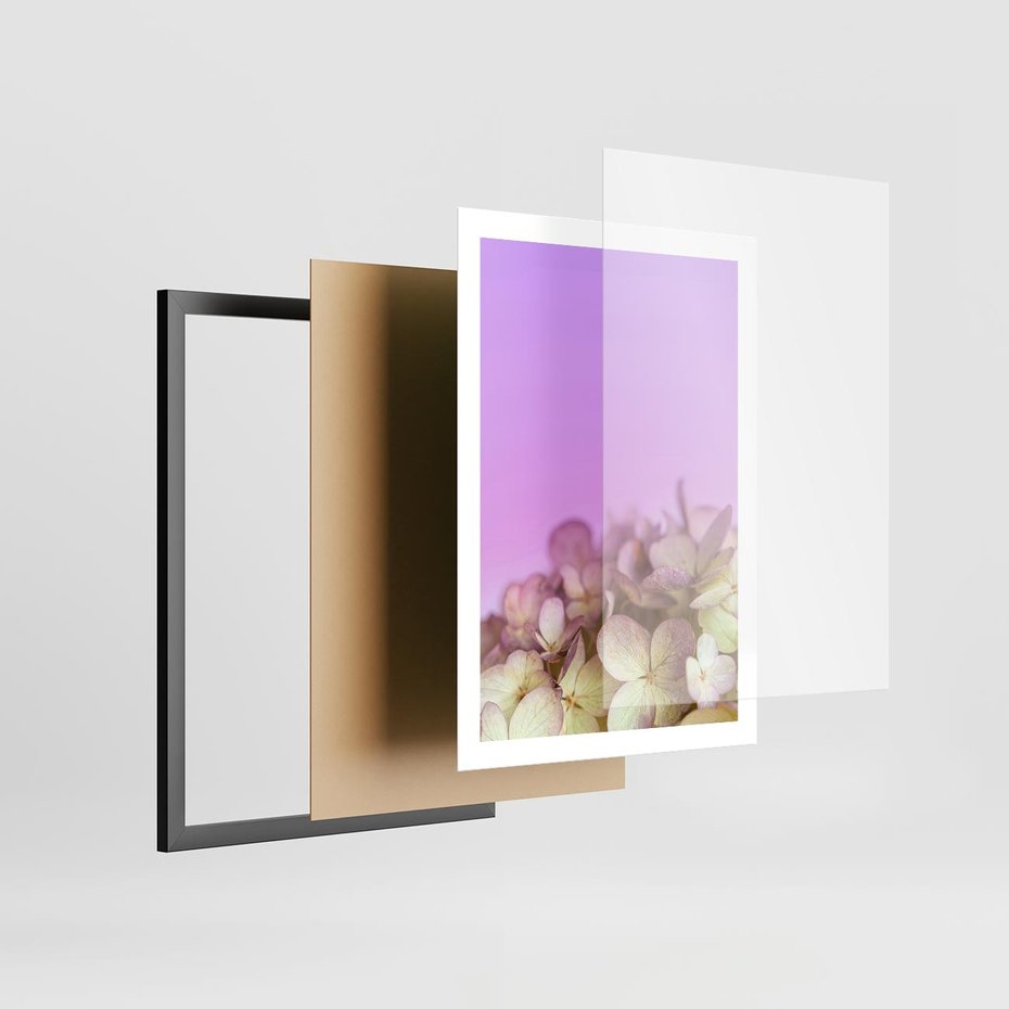 Plakat w ramie 50x70 - Kwiatowa Uroda - kwiaty, hortensje - rama czarna