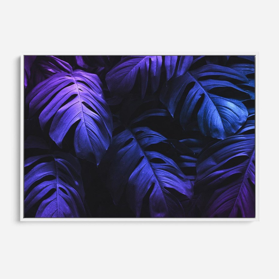 Obraz w ramie 100x70 - Mroczna Magia Dżungli - mroczna grafika, fioletowe liście monstery na czarnym tle - rama biała