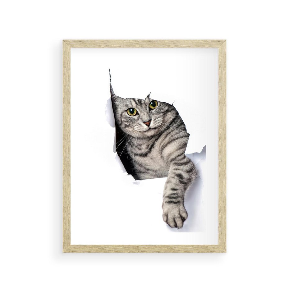 Plakat w ramie 30x40 - Tajemniczy kot i jego świat - kot, dziura - rama drewno