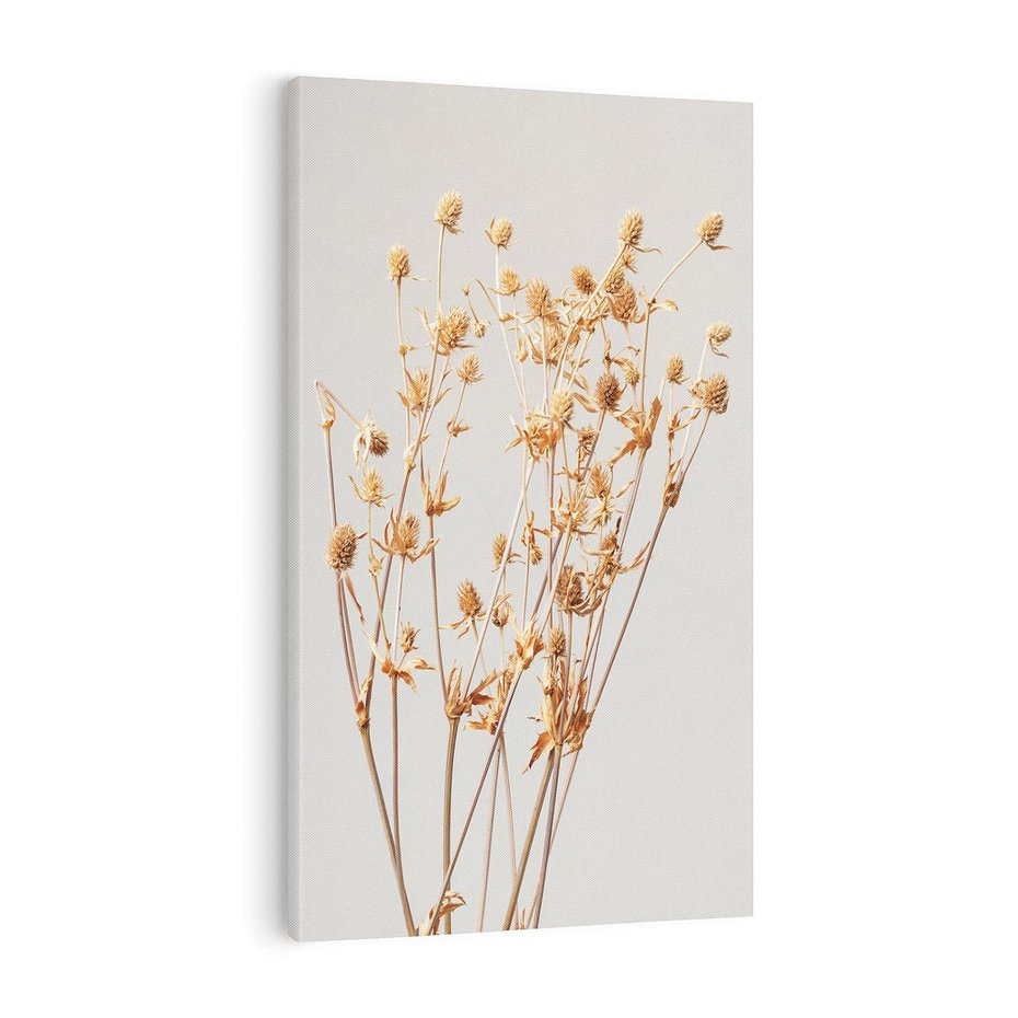 Obraz na płótnie 70x100 - Delikatne gipsówki - gipsówka, suche