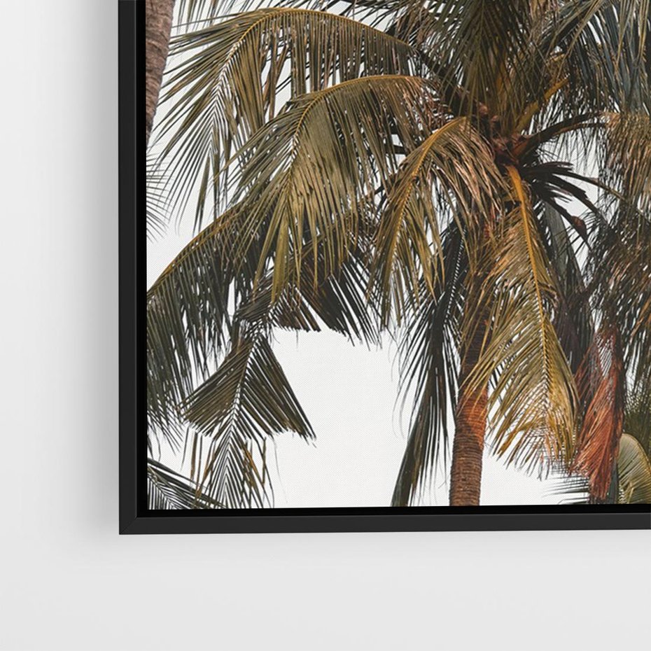 Obraz w ramie 70x50 - Palmy - tęsknota za Hawajami - palmy, Hawaje - rama czarna
