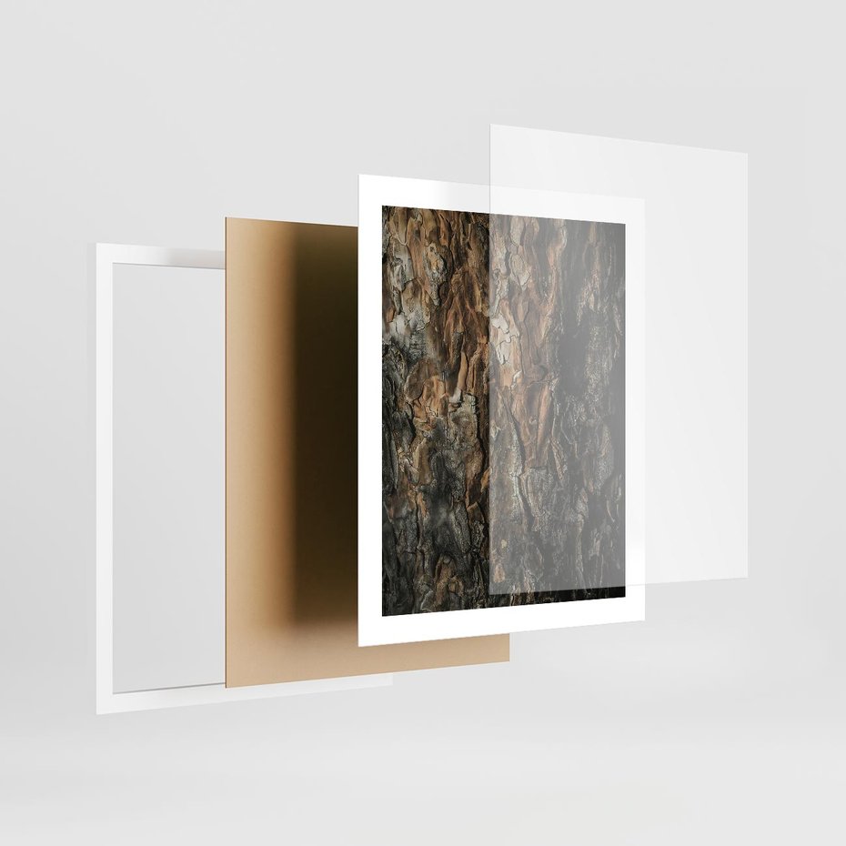 Plakat w ramie 40x50 - Tekstura Drewna: Zbliżenie - zbliżenie na pień drzewa, tekstura - rama biała
