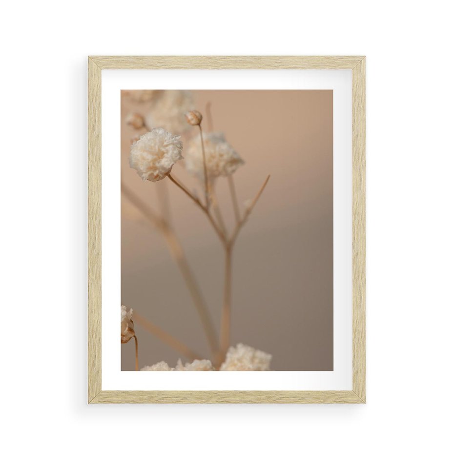 Plakat w ramie 40x50 - Subtelna gipsówka - gipsówka, suche - rama drewno