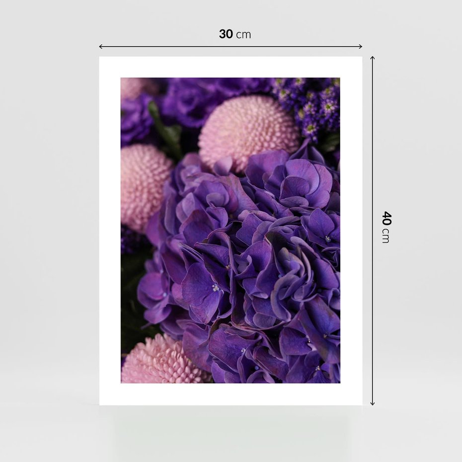 Plakat bez ramy 30x40 - Fioletowa hortensja - kwiaty, hortensja