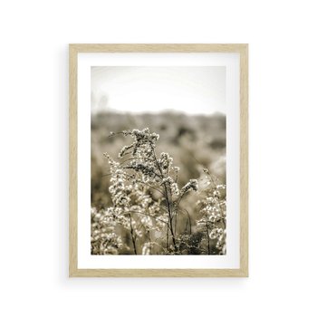 Plakat w ramie 30x40 - Pampas i Bocho - suche trawy, bocho - rama drewno